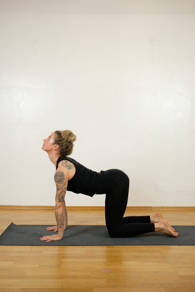 Bitilasana – Kuh