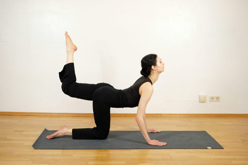 Vyaghrasana – Tiger